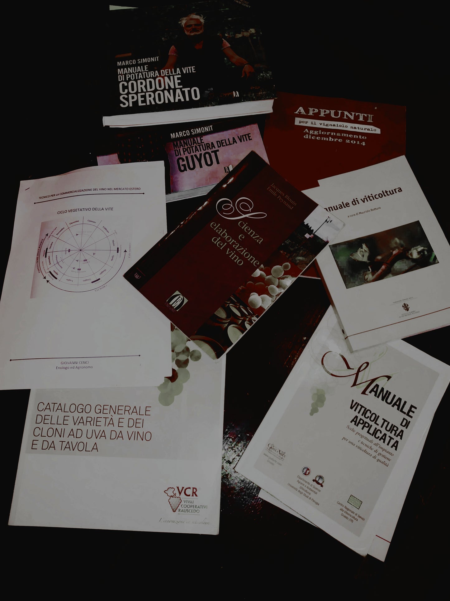 Serate di avvicinamento al vino (zona Perugia)