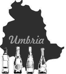 3 Umbrian wines: bronze selection